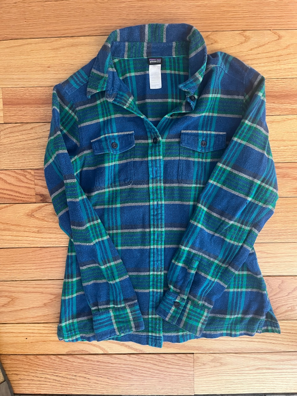 Patagonia Blue and Green cotton flannel Button-Down Shirt